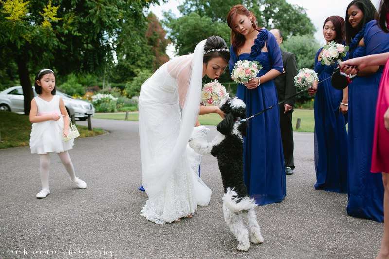 chinese bride and dog
