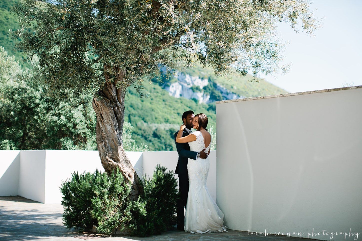 italian olive grove wedding
